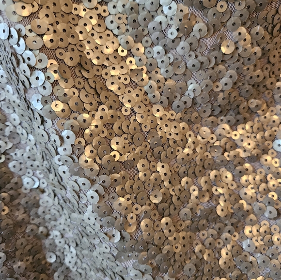 *2 For $30* NY&CO Sequin champagne skirt size medium - Picture 4 of 4